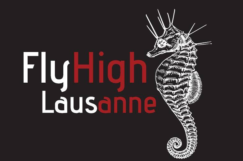 FlyHigh_Ultimate_Frisbee FlyHigh_Ultimate_Frisbee